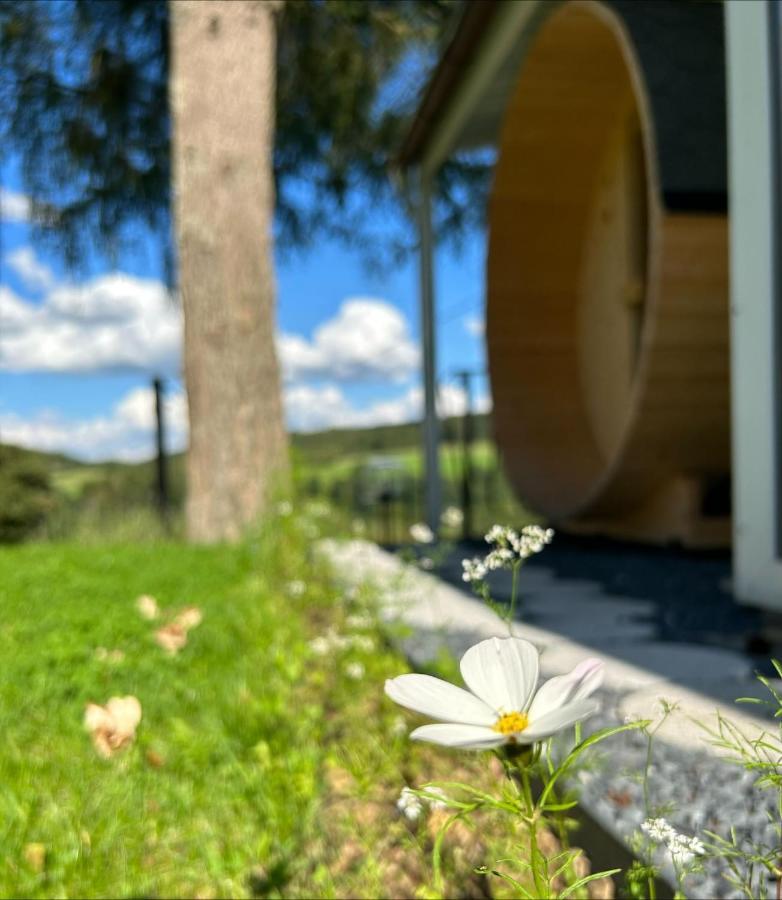 Chalet Panor'Anna St. Vith Exterior foto